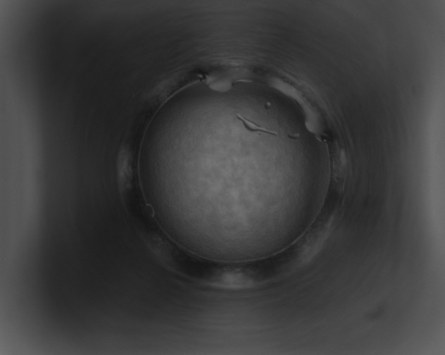 X0000100890264200806241237