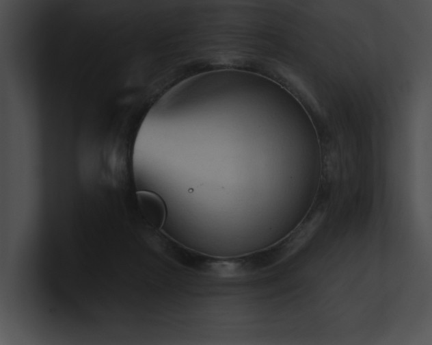 X0000100890265200806241237