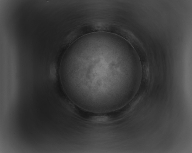 X0000100890266200806241237