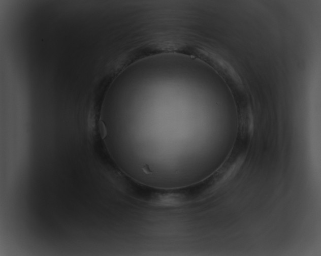 X0000100890268200806241237