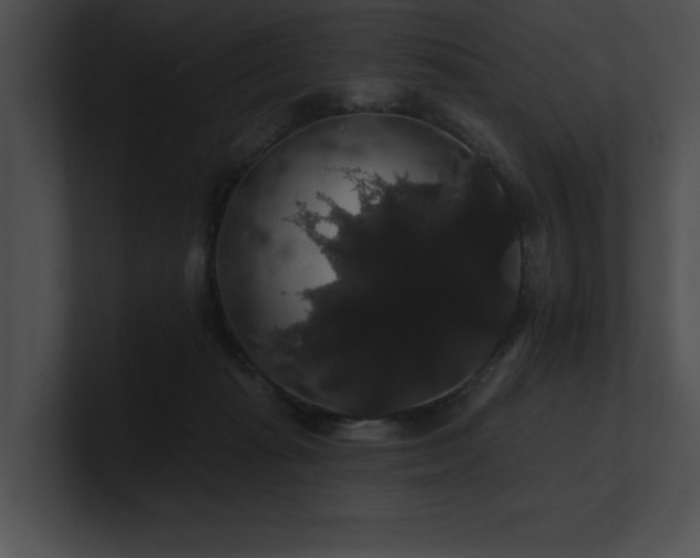 X0000100890269200806241237