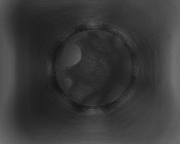 X0000100890270200806241237