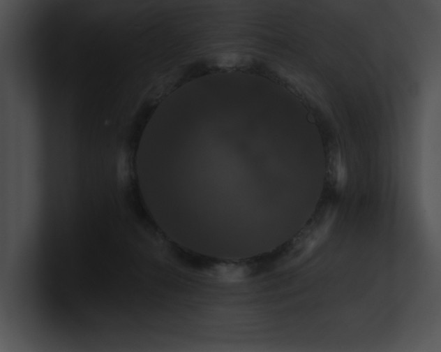 X0000100890272200806241237