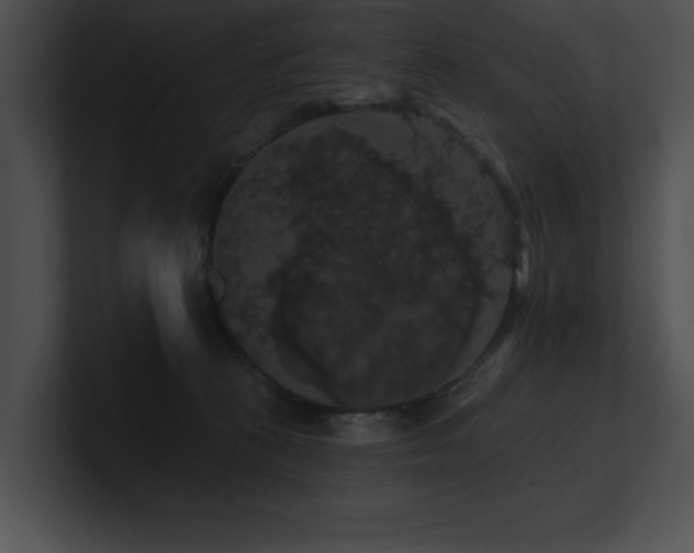 X0000100890273200806241237