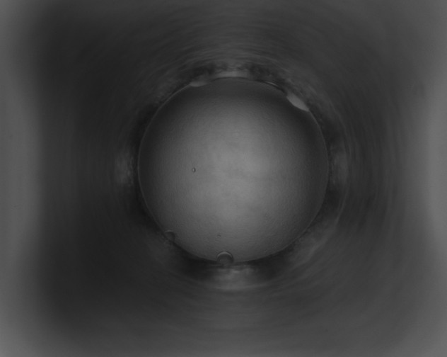 X0000100890274200806241237