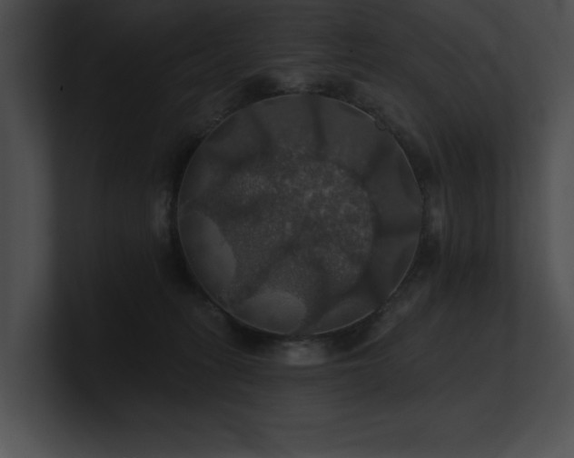X0000100890275200806241238