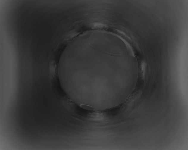 X0000100890276200806241238