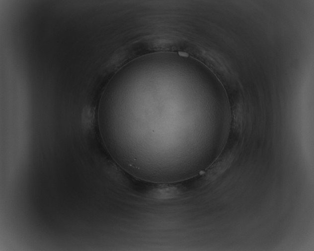 X0000100890278200806241238