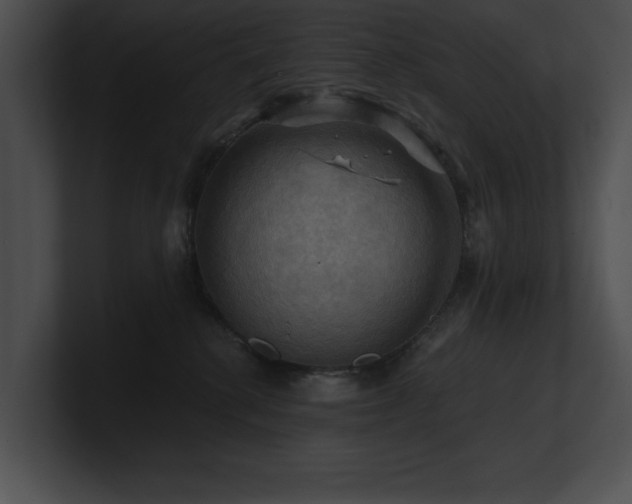 X0000100890280200806241238
