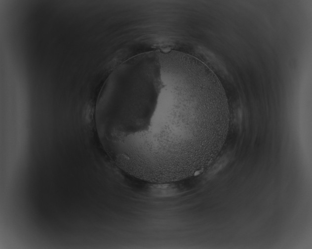 X0000100890281200806241238