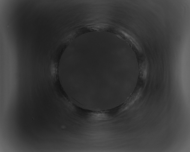 X0000100890284200806241238