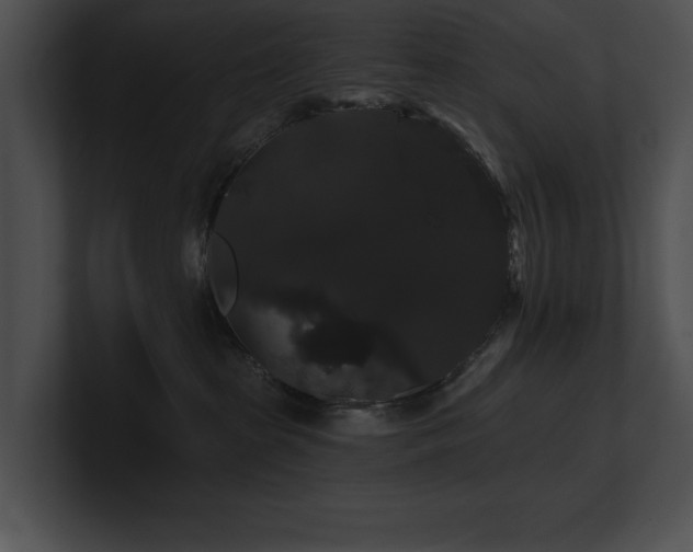 X0000100890285200806241238