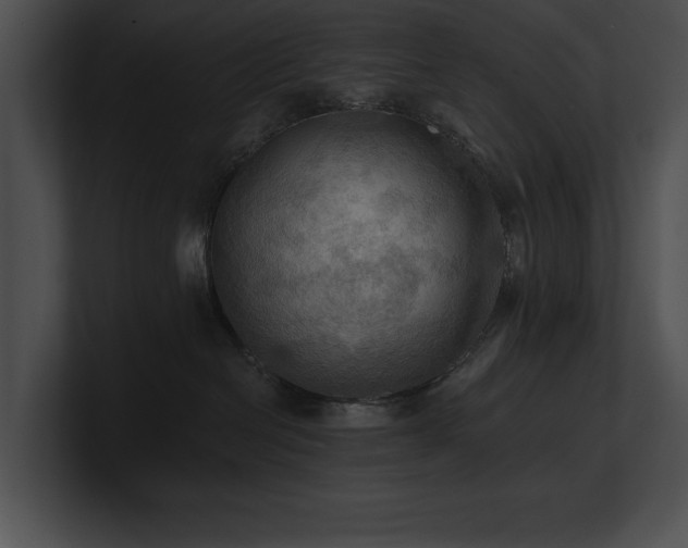 X0000100890286200806241238