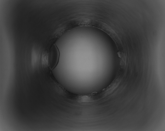 X0000100890287200806241238