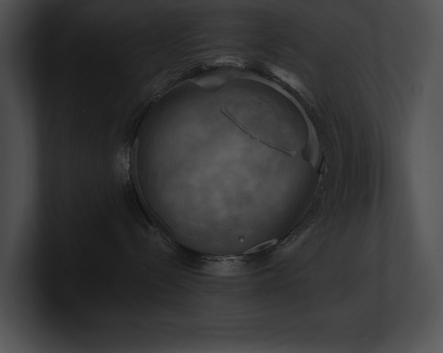 X0000100890288200806241238