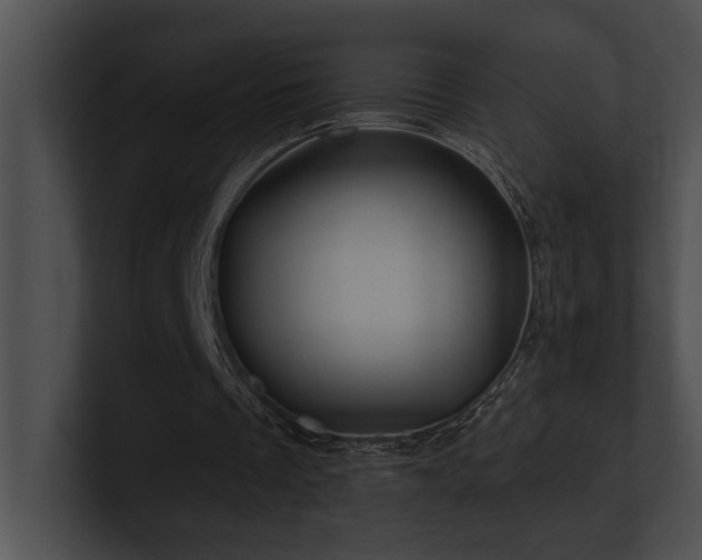 X0000100890289200806241237