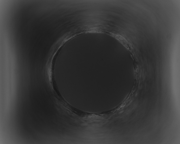 X0000100890290200806241237