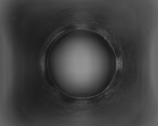 X0000100890291200806241237