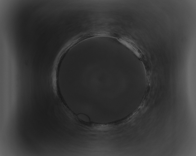X0000100890293200806241237