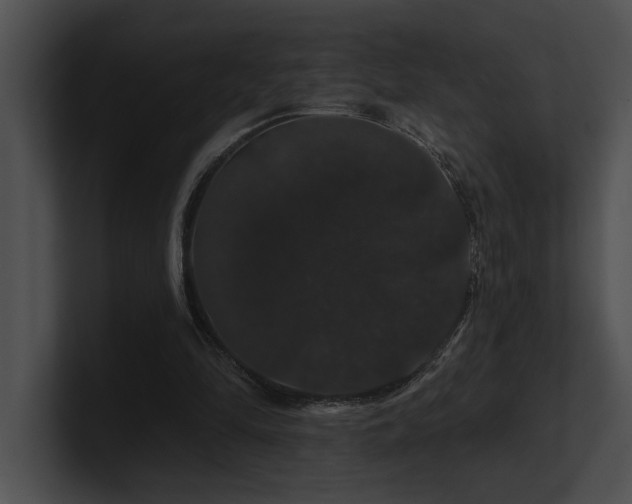 X0000100890294200806241237