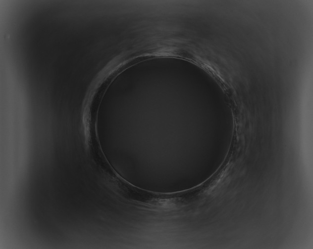 X0000100890295200806241237