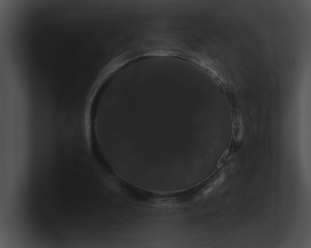 X0000100890296200806241237