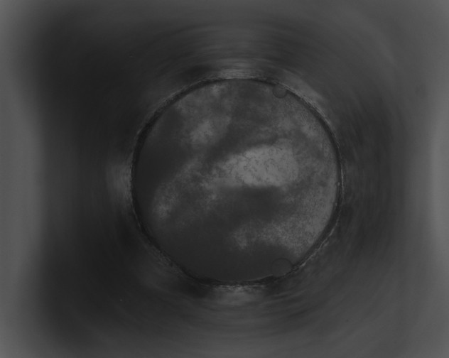 X0000100890297200806241237
