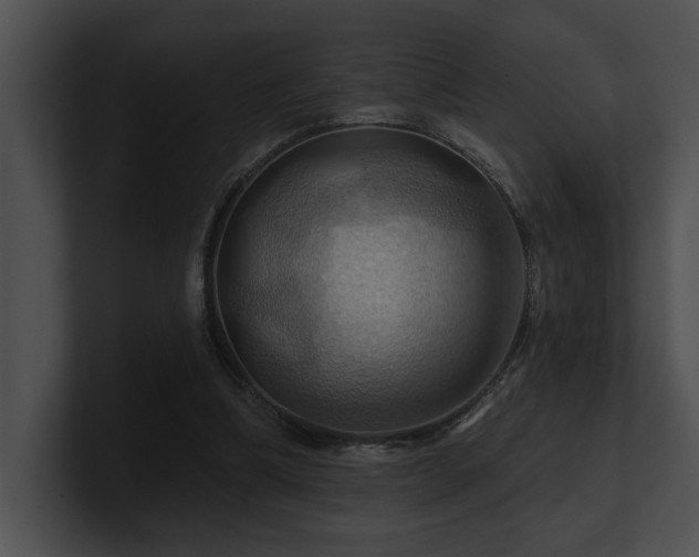 X0000100890298200806241237