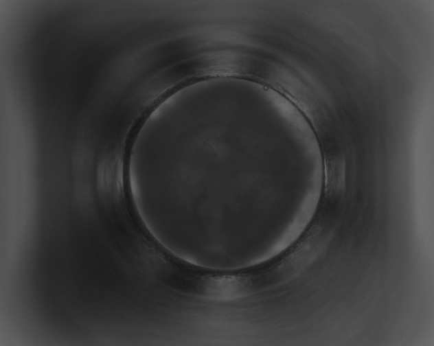 X0000100890301200806241237