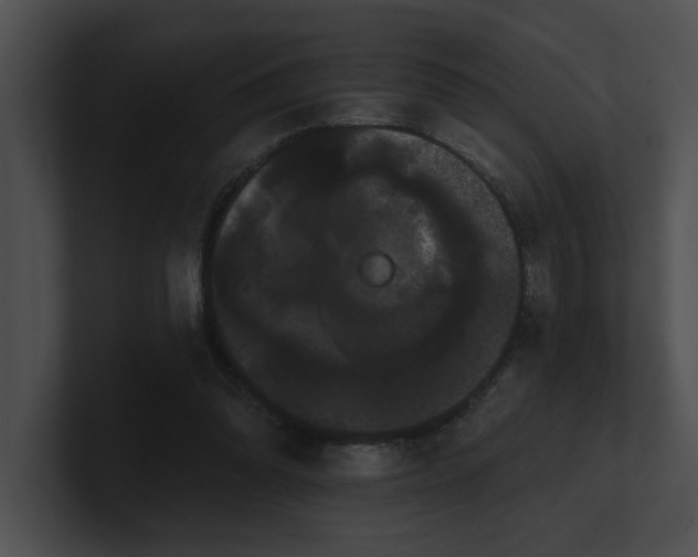 X0000100890302200806241237