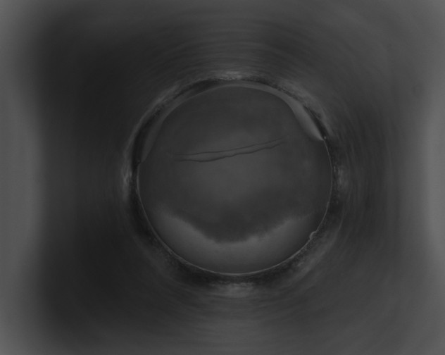 X0000100890304200806241237