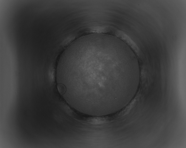 X0000100890305200806241237