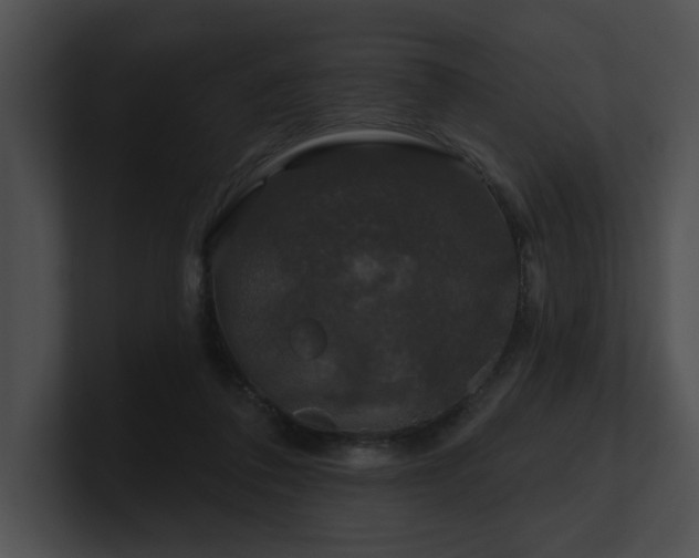 X0000100890308200806241237
