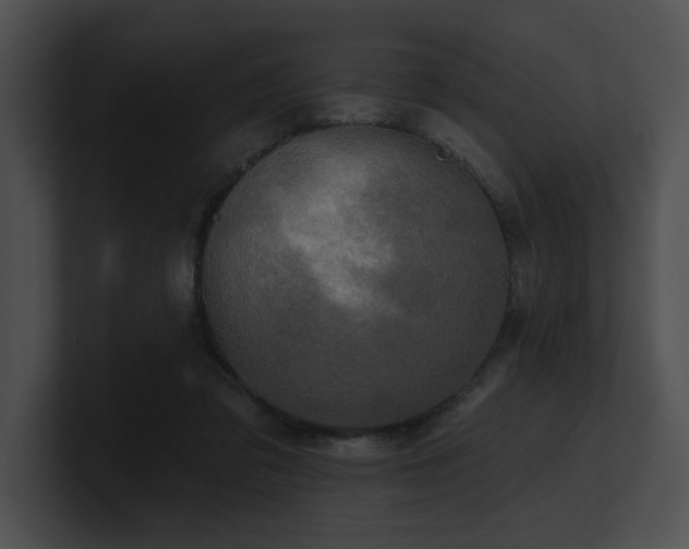 X0000100890309200806241237
