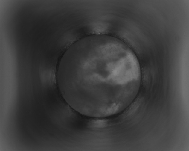 X0000100890313200806241237