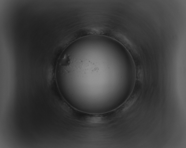 X0000100890318200806241237