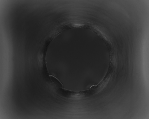 X0000100890319200806241237