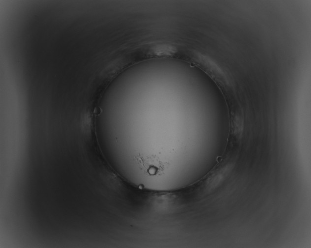 X0000100890321200806241237