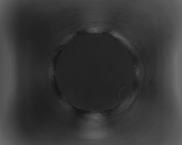 X0000100890322200806241237