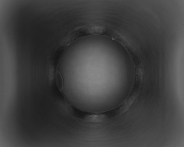 X0000100890323200806241237