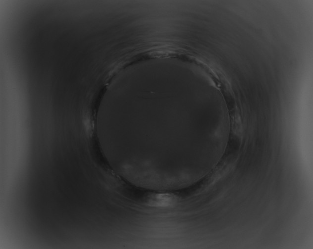 X0000100890324200806241237