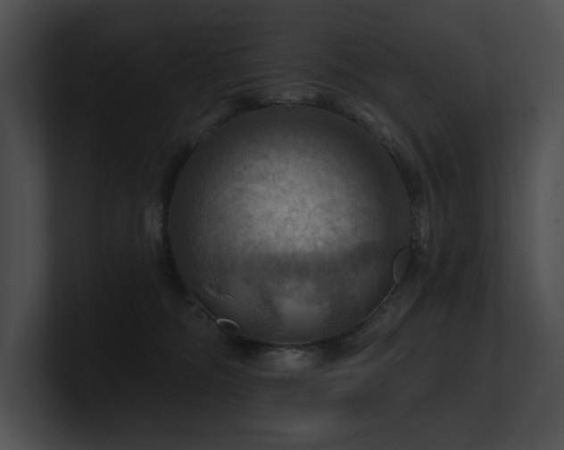 X0000100890326200806241237