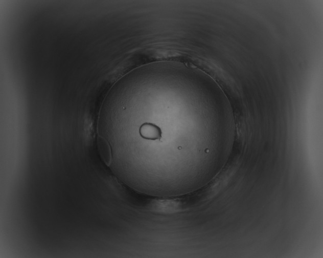 X0000100890327200806241237