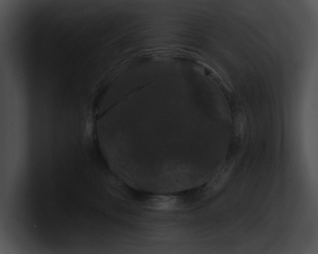 X0000100890328200806241237