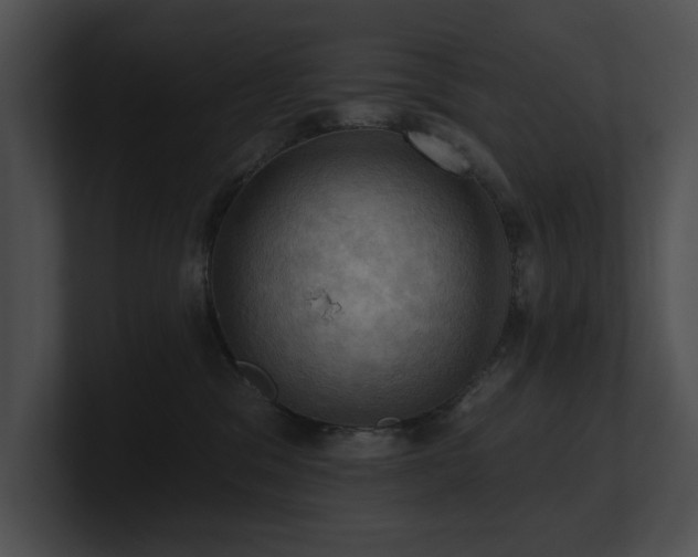 X0000100890329200806241237