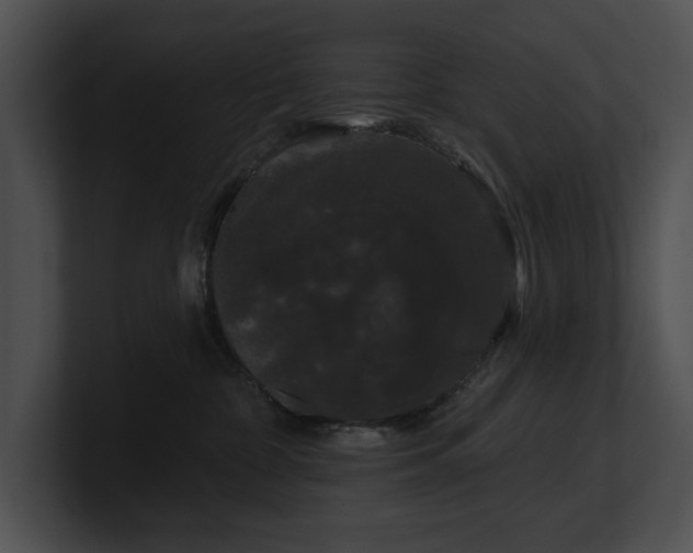 X0000100890332200806241236