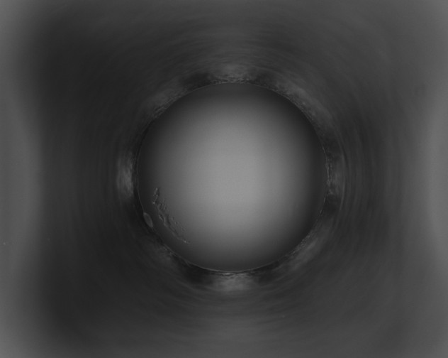 X0000100890334200806241236