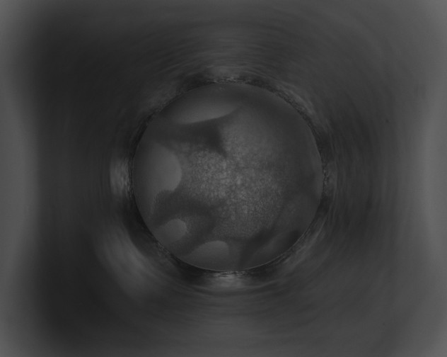 X0000100890335200806241236