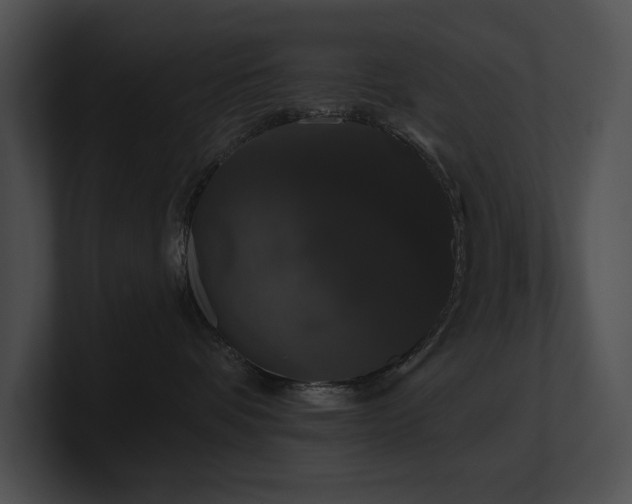 X0000100890336200806241236