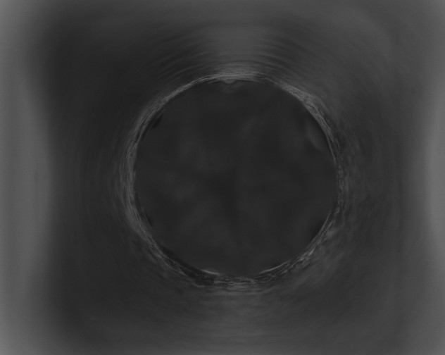 X0000100890337200806241236